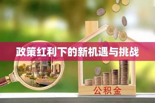 盖州政策红利下的新机遇与挑战