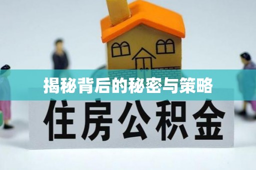 盖州揭秘背后的秘密与策略