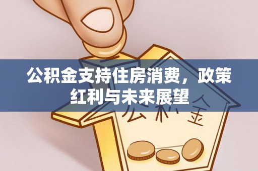 盖州公积金支持住房消费，政策红利与未来展望