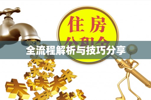 盖州全流程解析与技巧分享